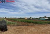 Terreno no urbanizable en alquiler en la España, Sevilla, ref: TR276770 foto