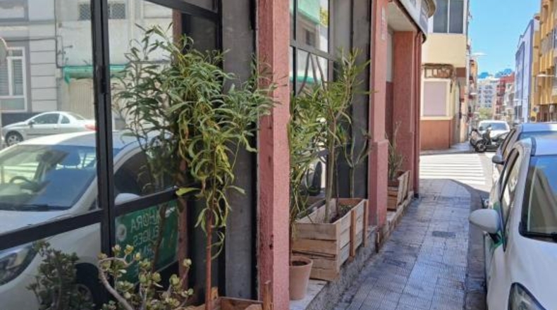 Santa Cruz de Tenerife - Santa Cruz de Tenerife - 110m2