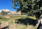 Chalet independiente con terreno en alquiler en la España, Mutxamel, ref: TR408815 foto