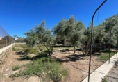 Chalet independiente con terreno en alquiler en la España, Mutxamel, ref: TR408815 foto