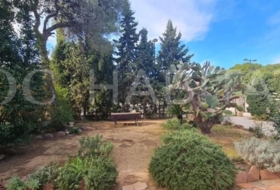 Torrent 375&nbsp;m²