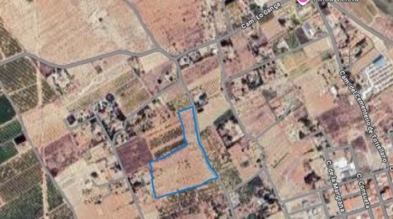 Alicante - Torrellano - 14000m2