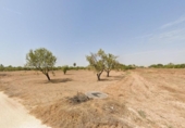 Casa con terreno en alquiler en la España, Torrellano, ref: TR312353 foto