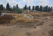 Terreno no urbanizable en alquiler en la España, Murcia, ref: TR311026 foto