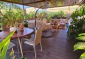 Chalet independiente con terreno en alquiler en la España, Adeje, ref: TR297266 foto