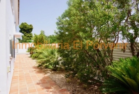 Torrent 557&nbsp;m²