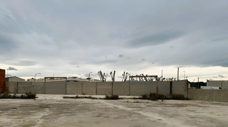 Valencia - Бениархо - 2500m2