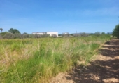 Non-developable land for sale on España, la Vall d'Alba, ref: TR411044 photo