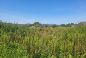 la Vall d'Alba 1558&nbsp;m²