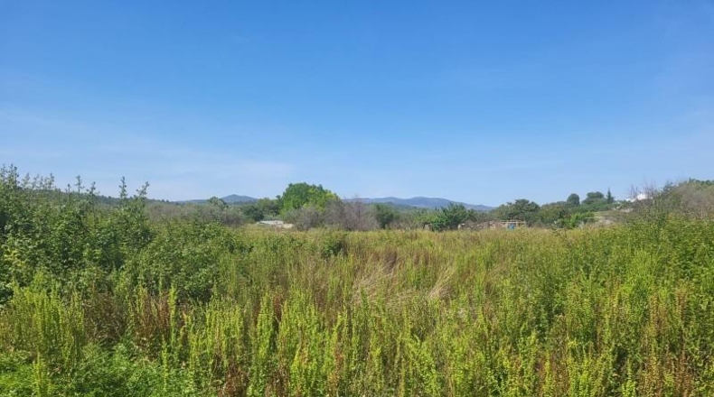 Castellón - Vall d'Alba - 1558m2