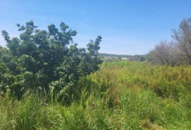 la Vall d'Alba 1558&nbsp;m²