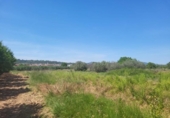 Non-developable land for sale on España, la Vall d'Alba, ref: TR411044 photo