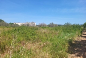 la Vall d'Alba 1558&nbsp;m²