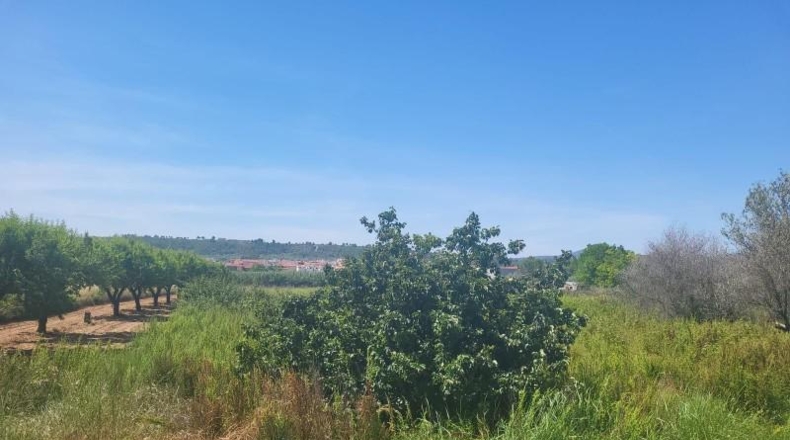 Castellón - Vall d'Alba - 1558m2