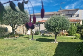 Foto 15