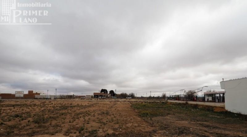Ciudad Real - Tomelloso - 1674m2