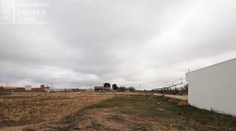 Ciudad Real - Tomelloso - 1674m2