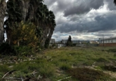 Suelo urbano en alquiler en la España, Fuente Álamo, ref: TR214590 foto