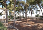Chalet independiente con terreno en alquiler en la España, San Juan del Monte, ref: TR398652 foto