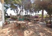Chalet independiente con terreno en alquiler en la España, San Juan del Monte, ref: TR398652 foto