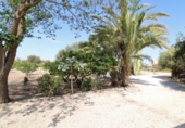 Chalet independiente con terreno en alquiler en la España, San Juan del Monte, ref: TR398652 foto