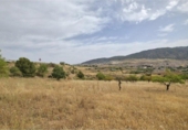Terreny no urbanitzable en venda a la España, Padul, ref.: TR298087 foto
