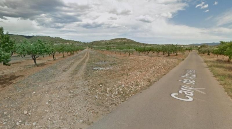 Castellón - Vall d'Alba - 5024m2