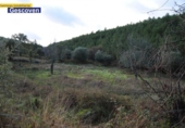 Terreno no urbanizable en venta en la España, Valencia de Alcántara, ref: TR297117 foto