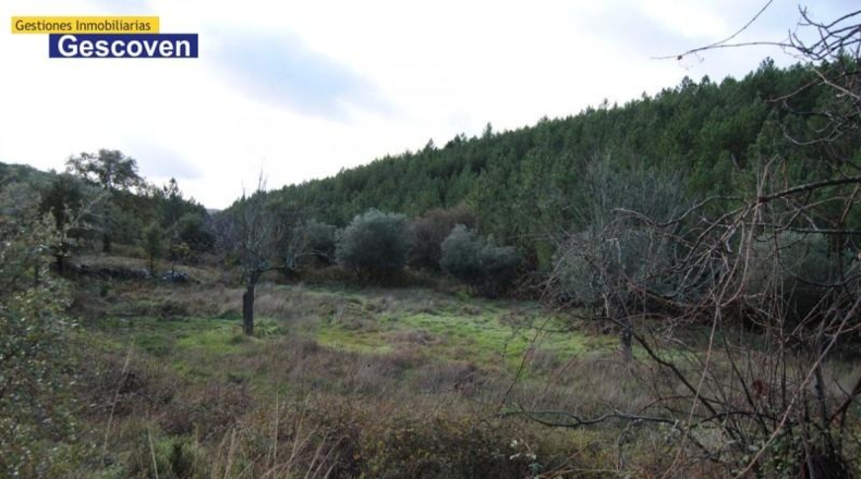 Cáceres - Валенсия-де-Алькантара - 2025m2
