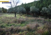 Terreno no urbanizable en venta en la España, Valencia de Alcántara, ref: TR297117 foto