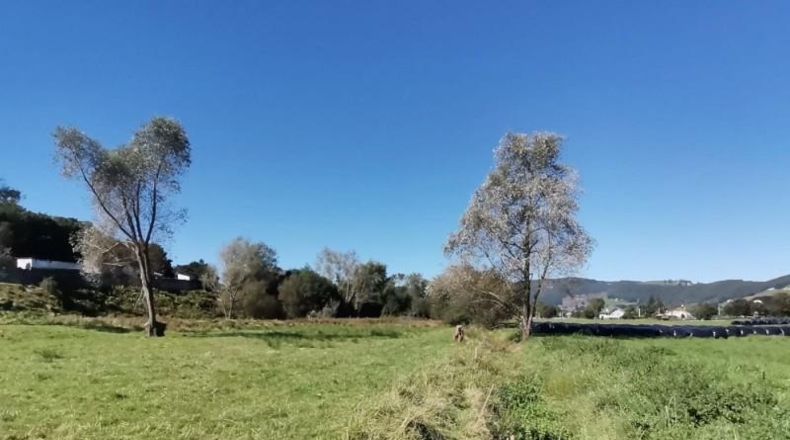 Cantabria - Santa María de Cayón - 1153m2