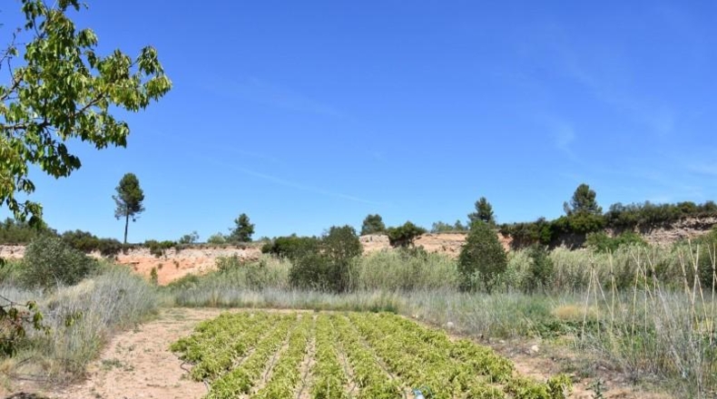 Teruel - Аренс де Льедо - 1601m2