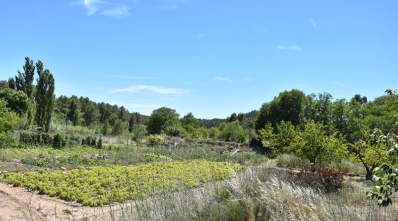 Teruel - Аренс де Льедо - 1601m2