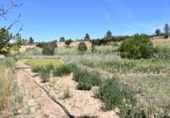 Terreno no urbanizable en venta en la España, Calaceite, ref: TR294311 foto