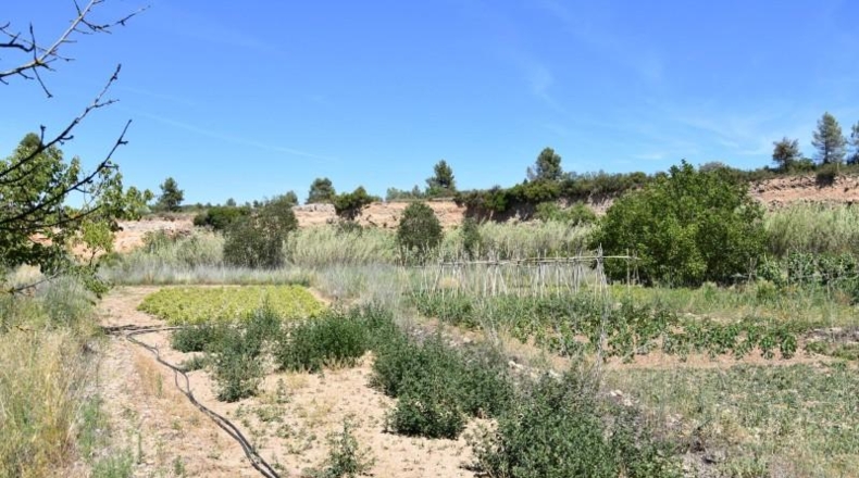 Teruel - Аренс де Льедо - 1601m2