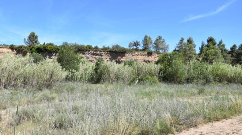 Teruel - Аренс де Льедо - 1601m2