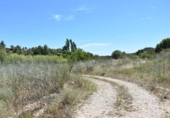 Terreno no urbanizable en venta en la España, Calaceite, ref: TR294311 foto