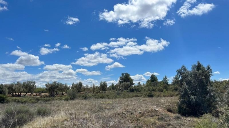 Teruel - Arens de Lledó - 10055m2