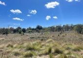 Chalet independiente con terreno en venta en la España, Arens de Lledó, ref: TR318945 foto