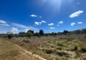 Chalet independiente con terreno en venta en la España, Arens de Lledó, ref: TR318945 foto