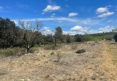 Chalet independiente con terreno en venta en la España, Arens de Lledó, ref: TR318945 foto