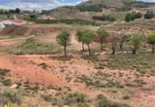 Terreno no urbanizable en venta en la España, Fuentealbilla, ref: TR298567 foto