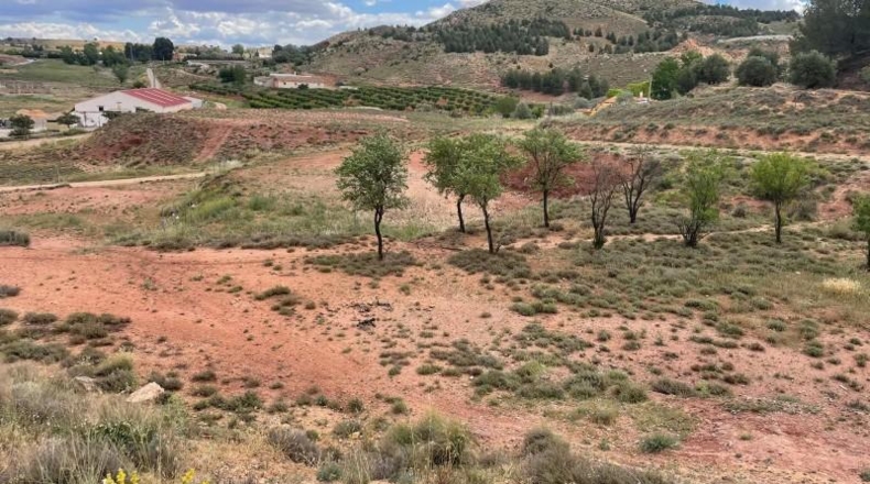 Albacete - Fuentealbilla - 2416m2