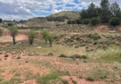 Terreno no urbanizable en venta en la España, Fuentealbilla, ref: TR298567 foto