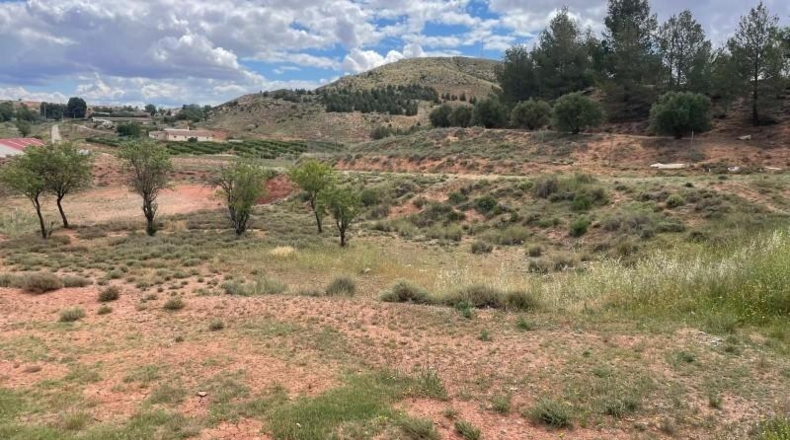 Albacete - Fuentealbilla - 2416m2