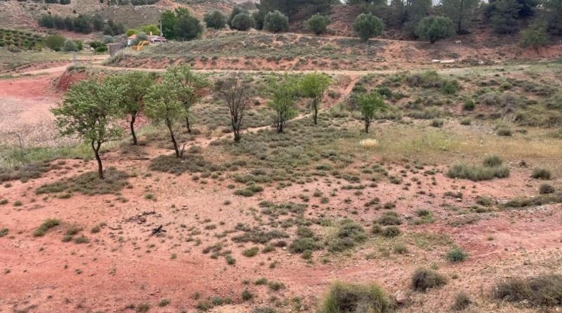 Albacete - Fuentealbilla - 2416m2