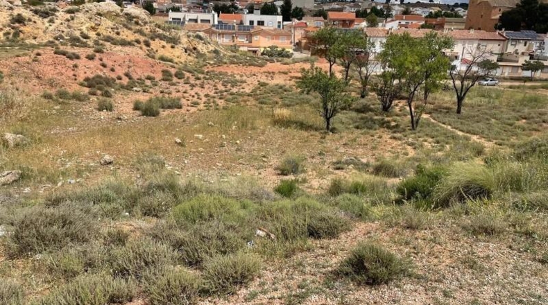 Albacete - Fuentealbilla - 2416m2