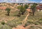 Terreno no urbanizable en venta en la España, Fuentealbilla, ref: TR298567 foto