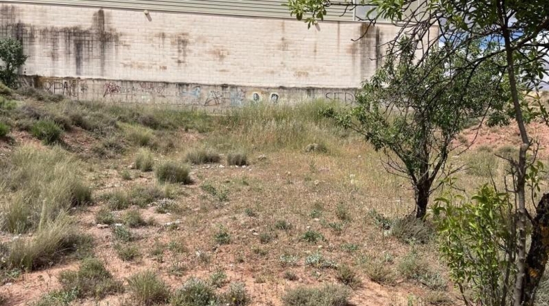 Albacete - Fuentealbilla - 2416m2