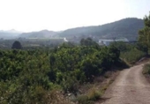 Terreny no urbanitzable en venda a la España, Alzira, ref.: TR403531 foto